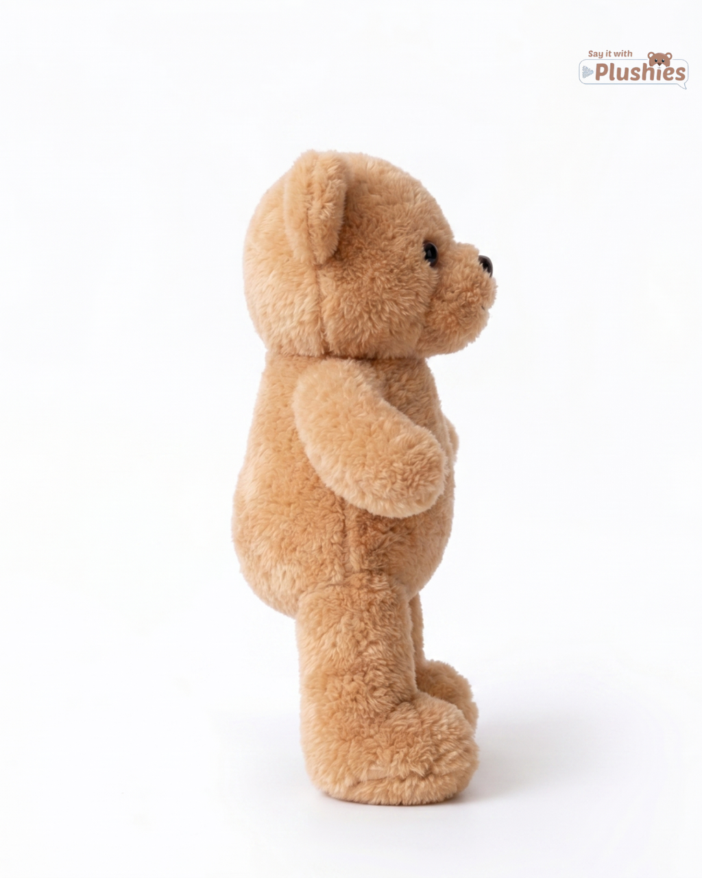 Ted
