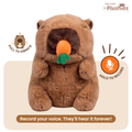 Carrie — Voice Recording Capybara Plushie